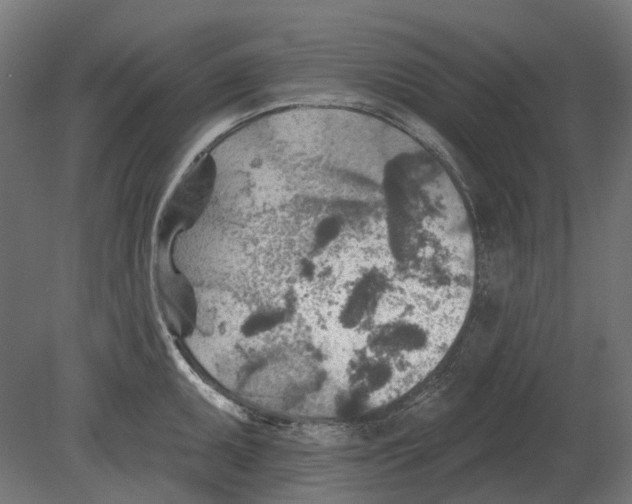 X0000080721095200701121837