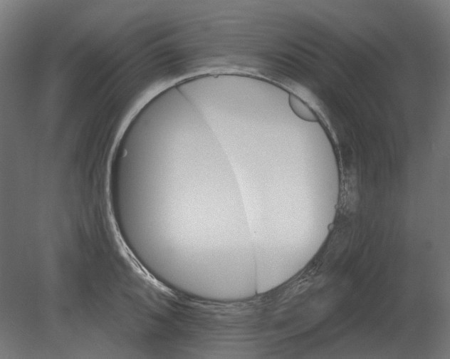 X0000080721096200701121837