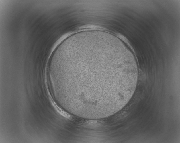 X0000080721098200701121837