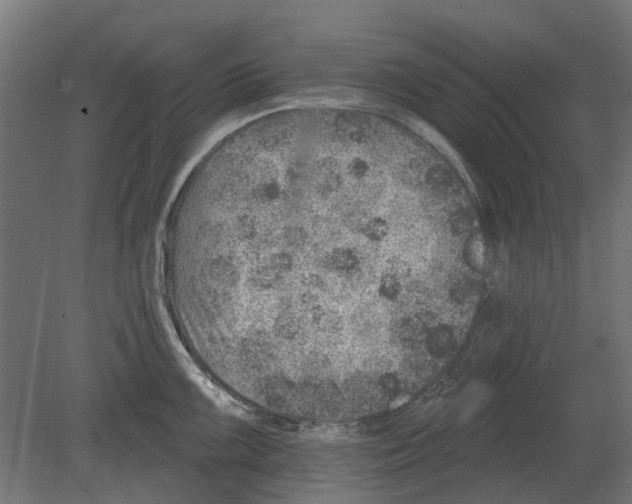 X0000080721099200701121837