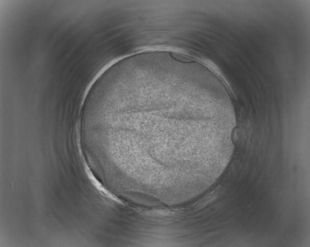 X0000080721100200701121837