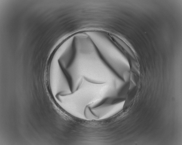 X0000080721101200701121837