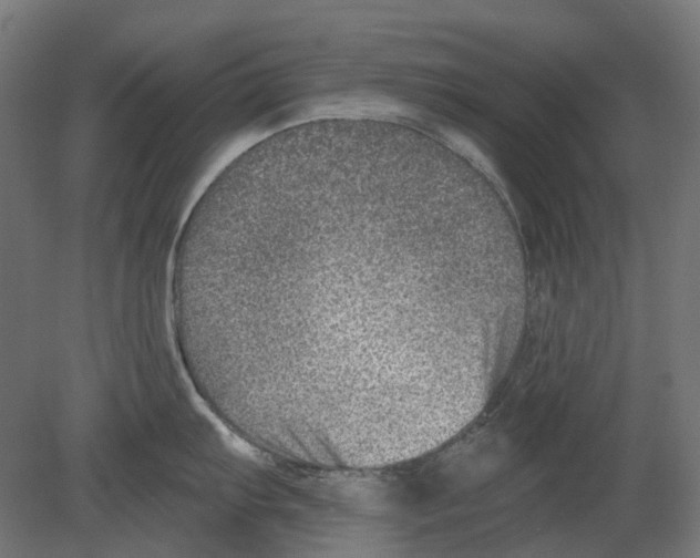 X0000080721103200701121837