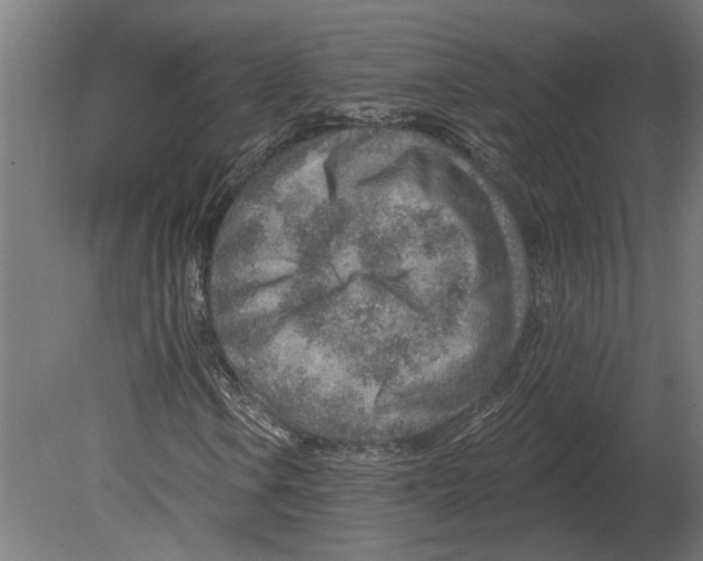 X0000080721106200701121836