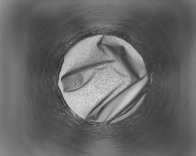 X0000080721109200701121836