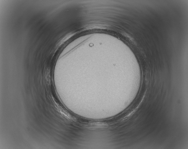 X0000080721113200701121836