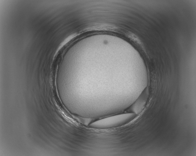 X0000080721114200701121836