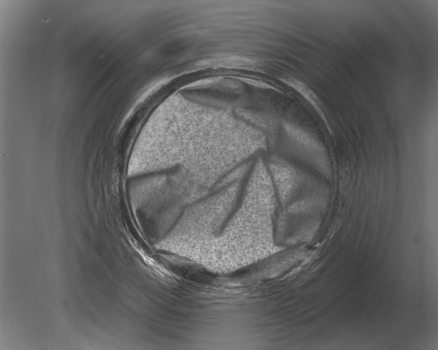 X0000080721115200701121836