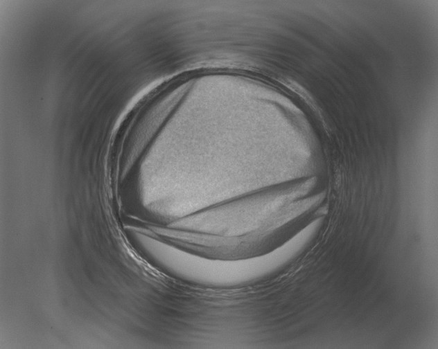 X0000080721120200701121836