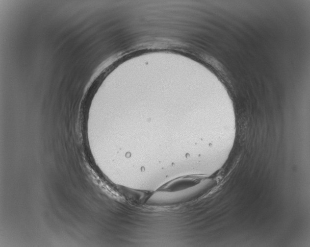 X0000080721122200701121836