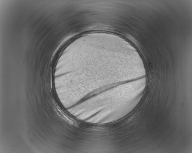 X0000080721123200701121836