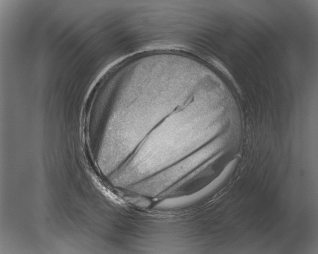 X0000080721124200701121836