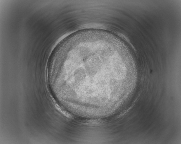 X0000080721125200701121836