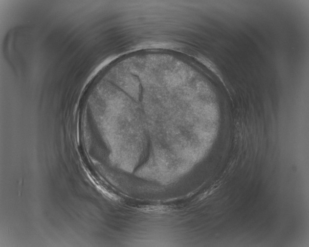 X0000080721127200701121836