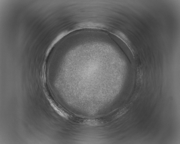 X0000080721128200701121836