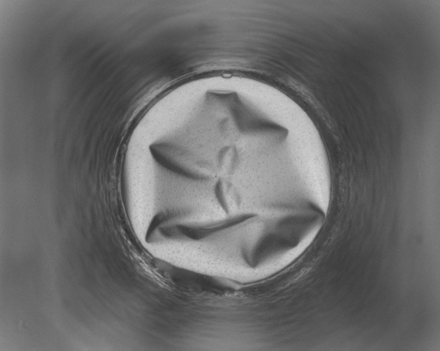 X0000080721129200701121836