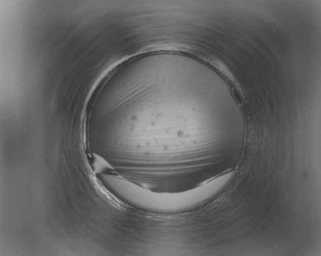 X0000080721132200701121837