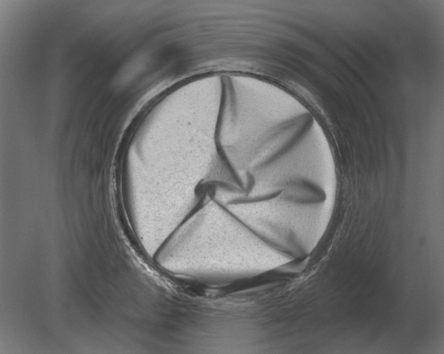 X0000080721133200701121837