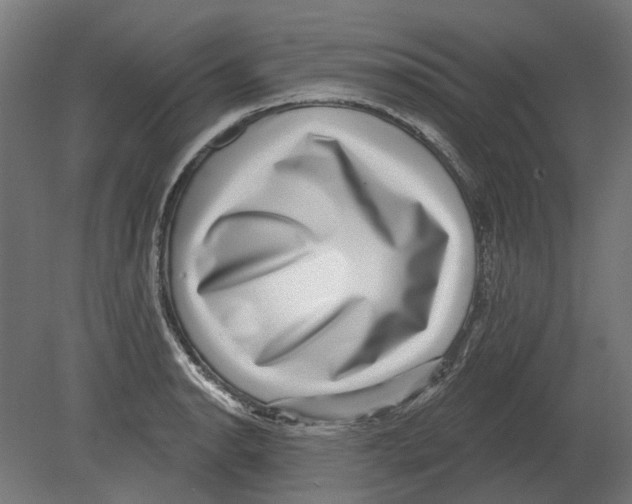 X0000080721134200701121837