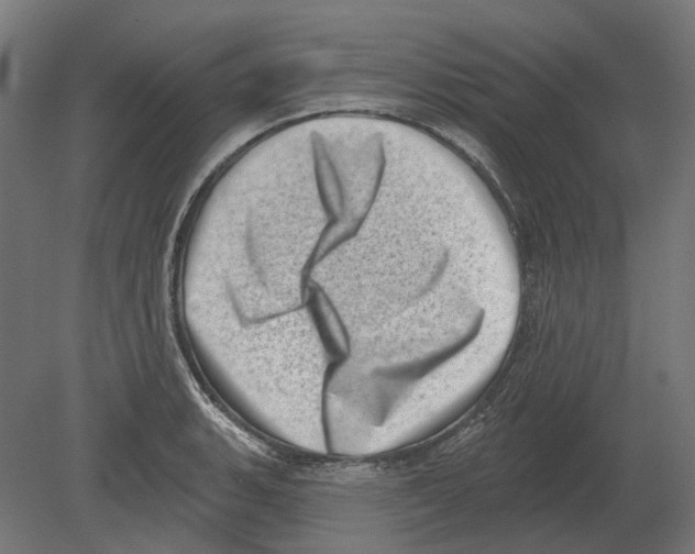 X0000080721135200701121837