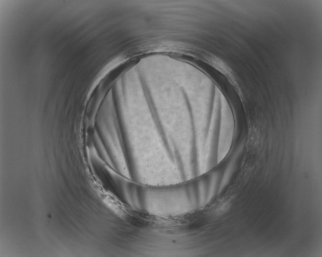 X0000080721138200701121837