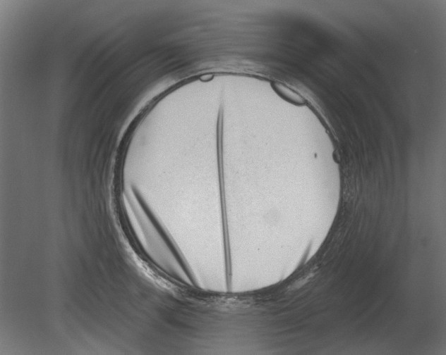 X0000080721139200701121837