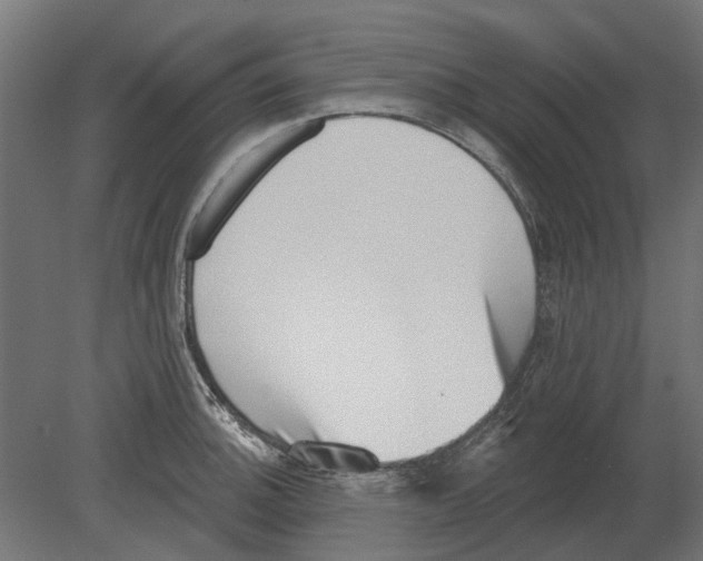 X0000080721140200701121837