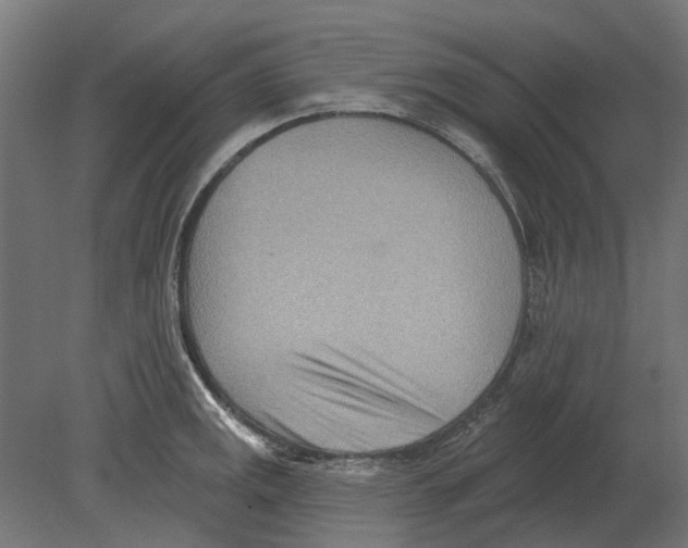 X0000080721141200701121837