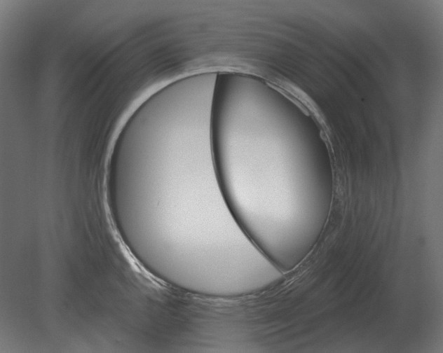 X0000080721144200701121837