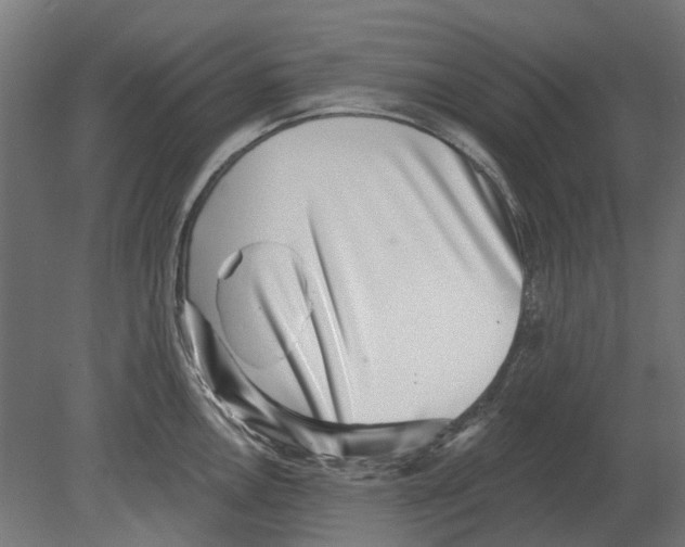 X0000080721146200701121837