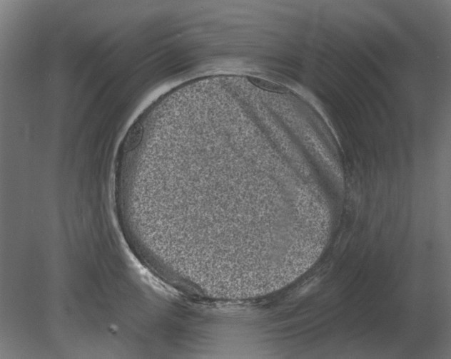 X0000080721147200701121837