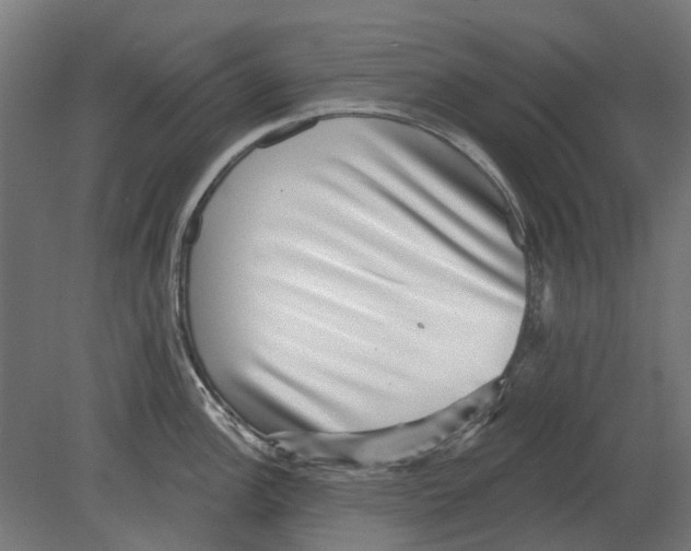 X0000080721148200701121837