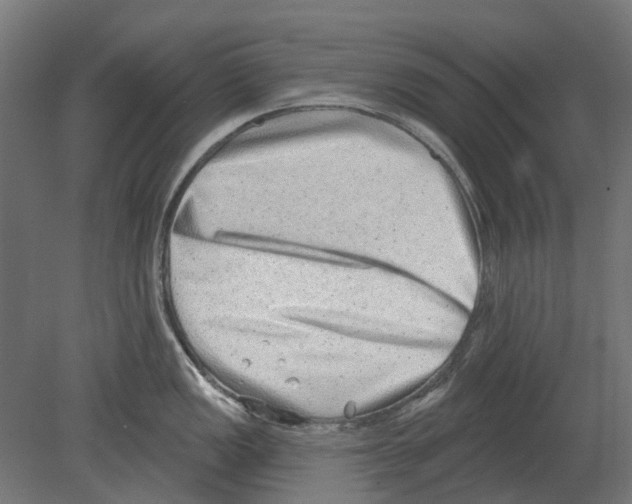 X0000080721149200701121837