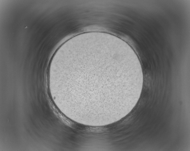 X0000080721150200701121837