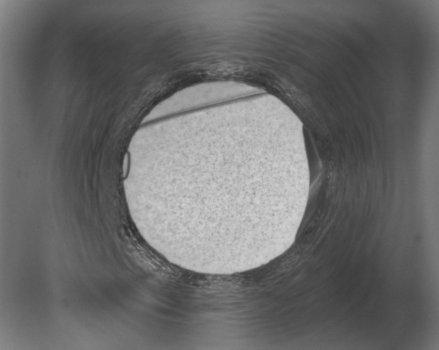 X0000080721153200701121836