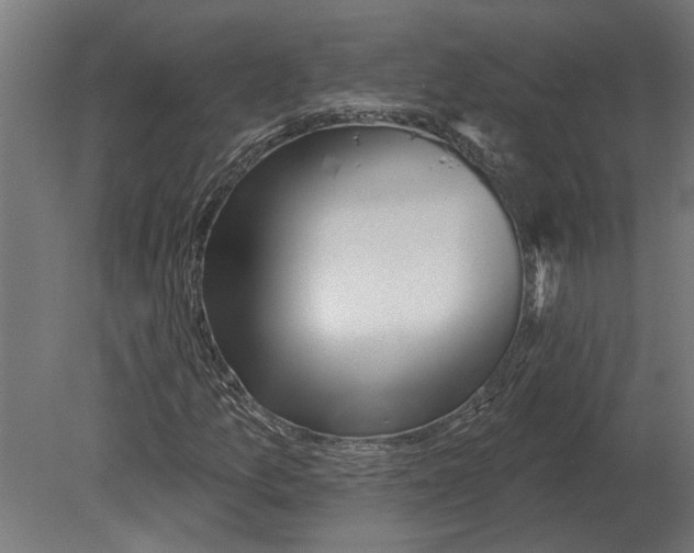 X0000080721157200701121836