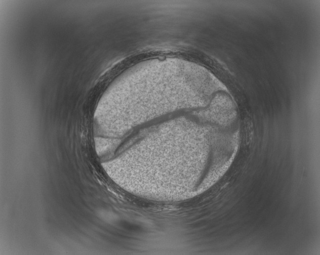 X0000080721158200701121836