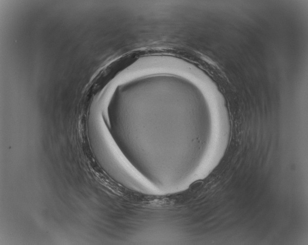 X0000080721160200701121836