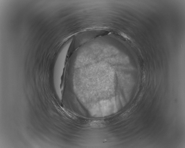 X0000080721161200701121836