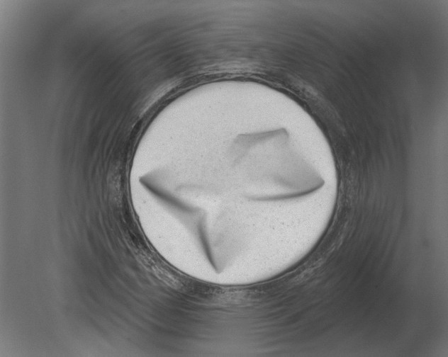 X0000080721162200701121836