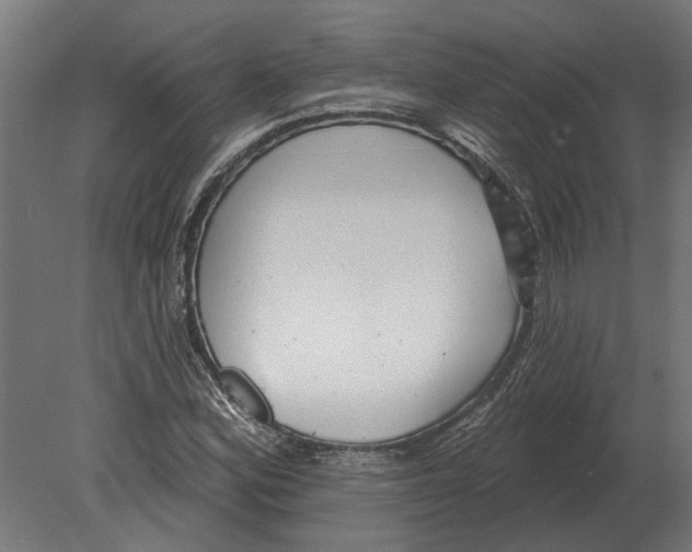 X0000080721164200701121836