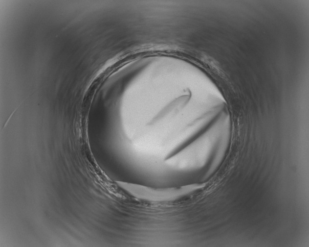 X0000080721165200701121836