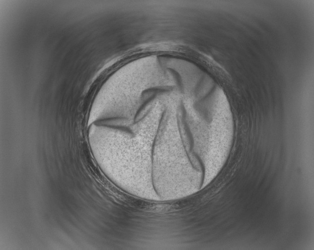 X0000080721166200701121836