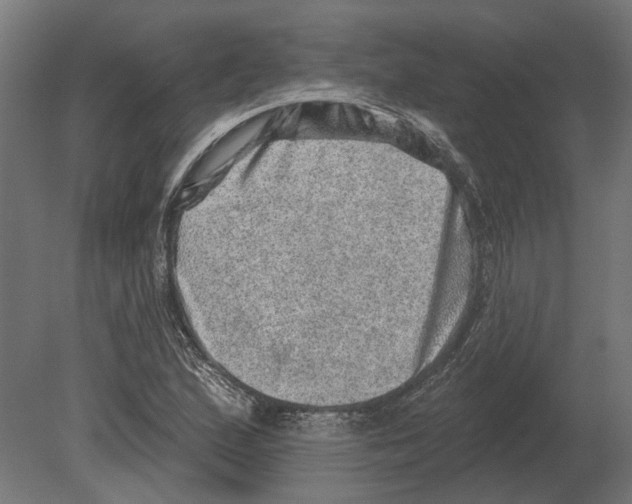 X0000080721167200701121836