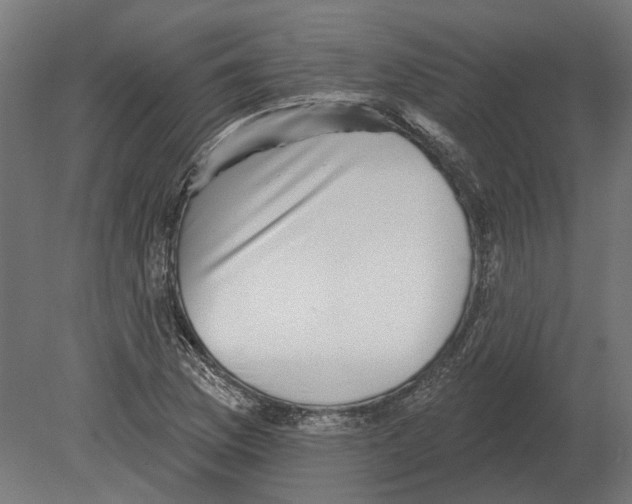 X0000080721169200701121836