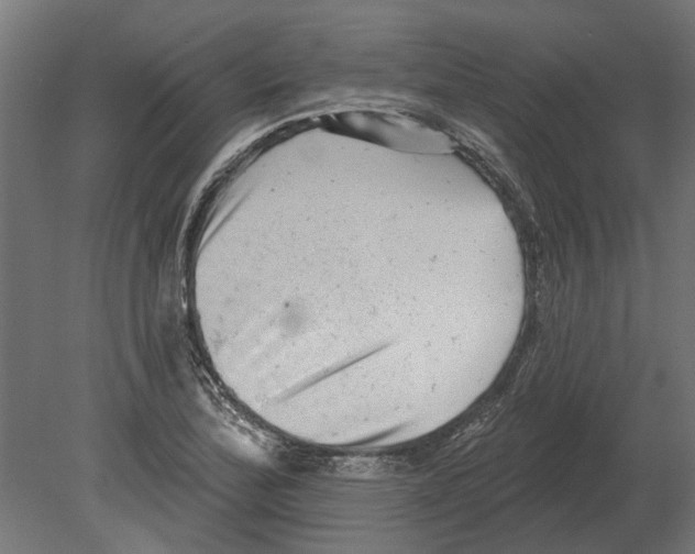 X0000080721172200701121836