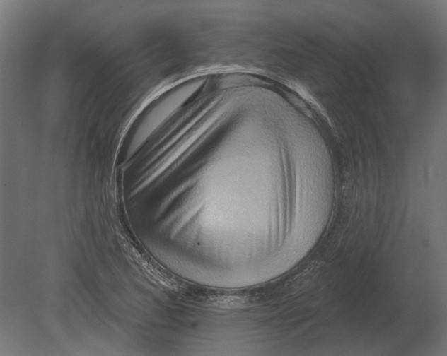 X0000080721173200701121836