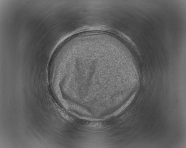 X0000080721174200701121836