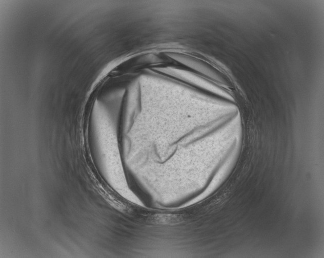 X0000080721176200701121836