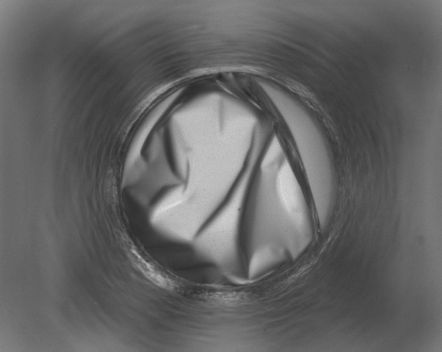 X0000080721177200701121836